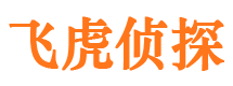 珠山侦探公司